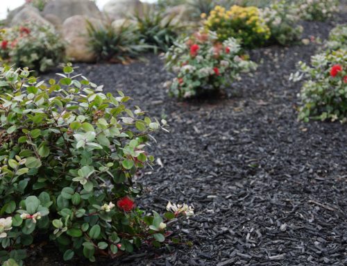 OUR GOODWOOD MULCHES ARE YOUR SOLUTIONS FOR SUMMER