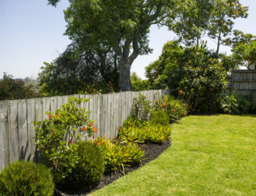 MULCH IN ACTION: 4 STUNNING GARDENS FOR INSPIRATION